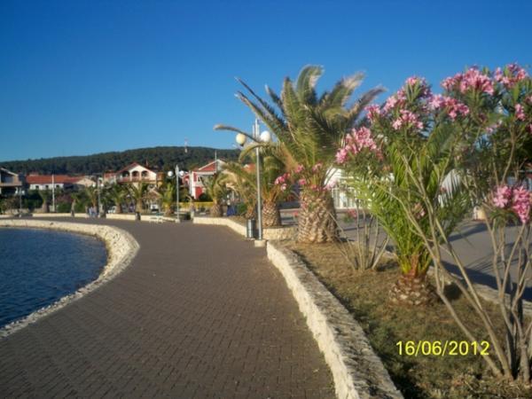 Apartment Ante Bibinje Exterior foto